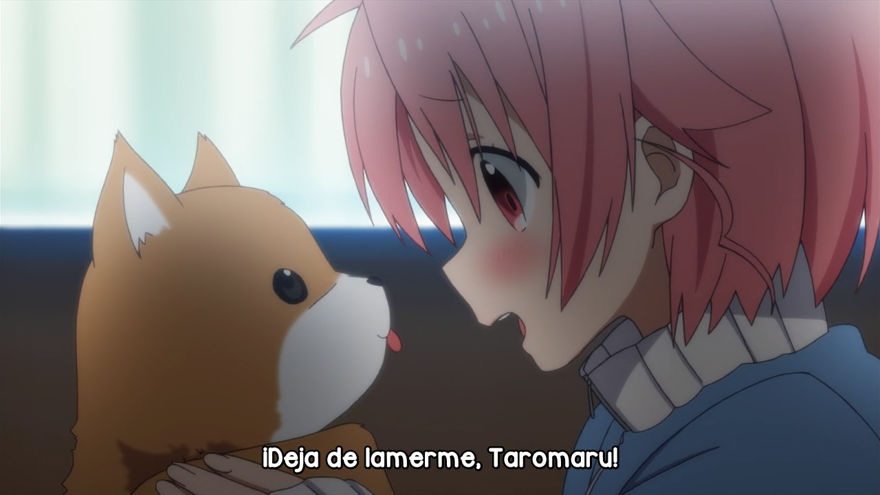 Gakkou Gurashi! (AniHenjin Fansub)